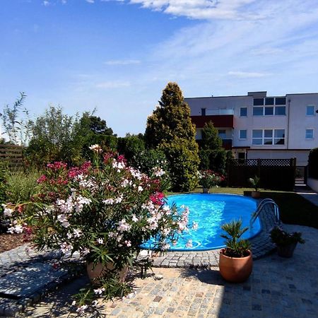 Sollenau Appartement Ferienhaus Sonnenhain מראה חיצוני תמונה