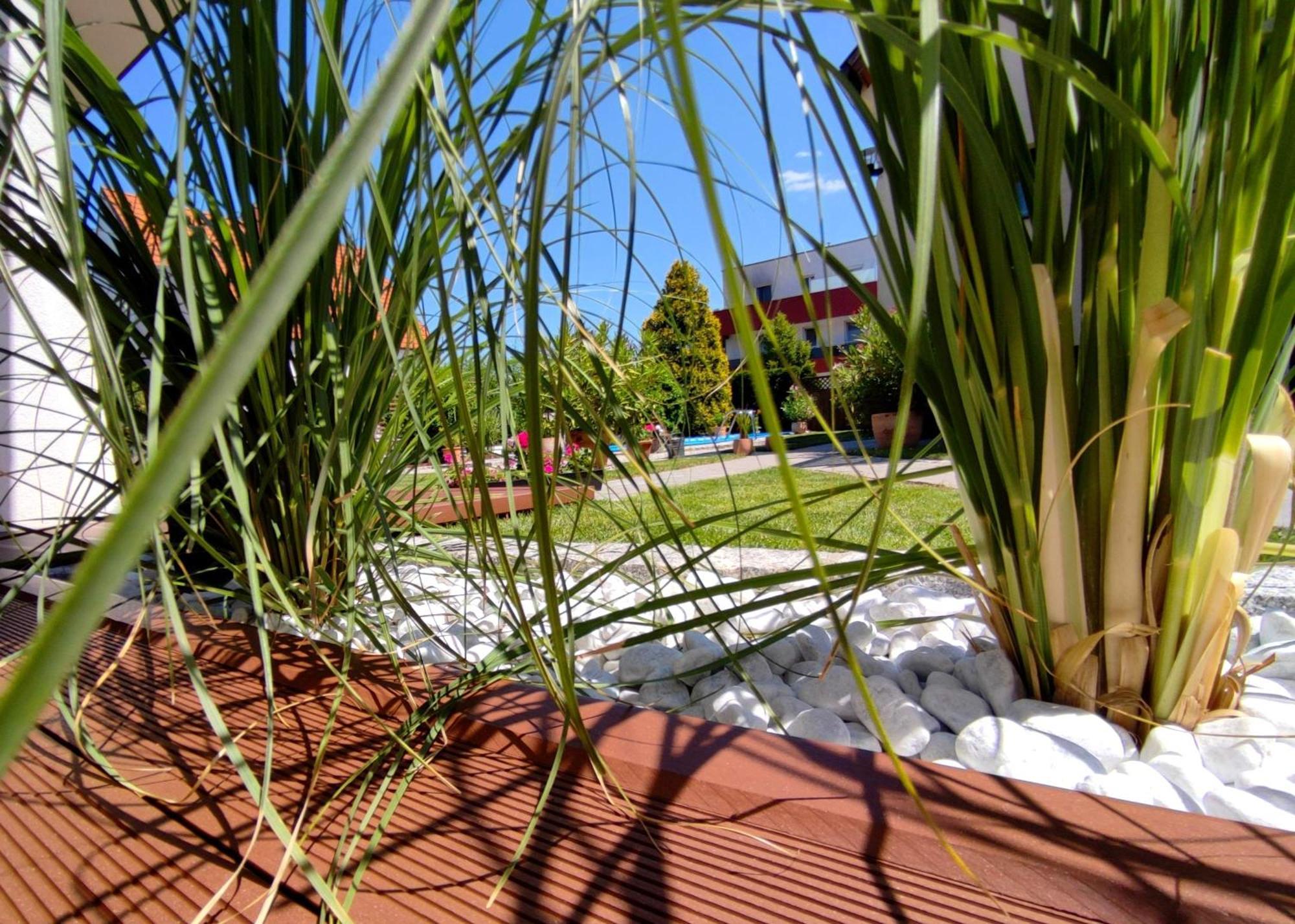 Sollenau Appartement Ferienhaus Sonnenhain מראה חיצוני תמונה