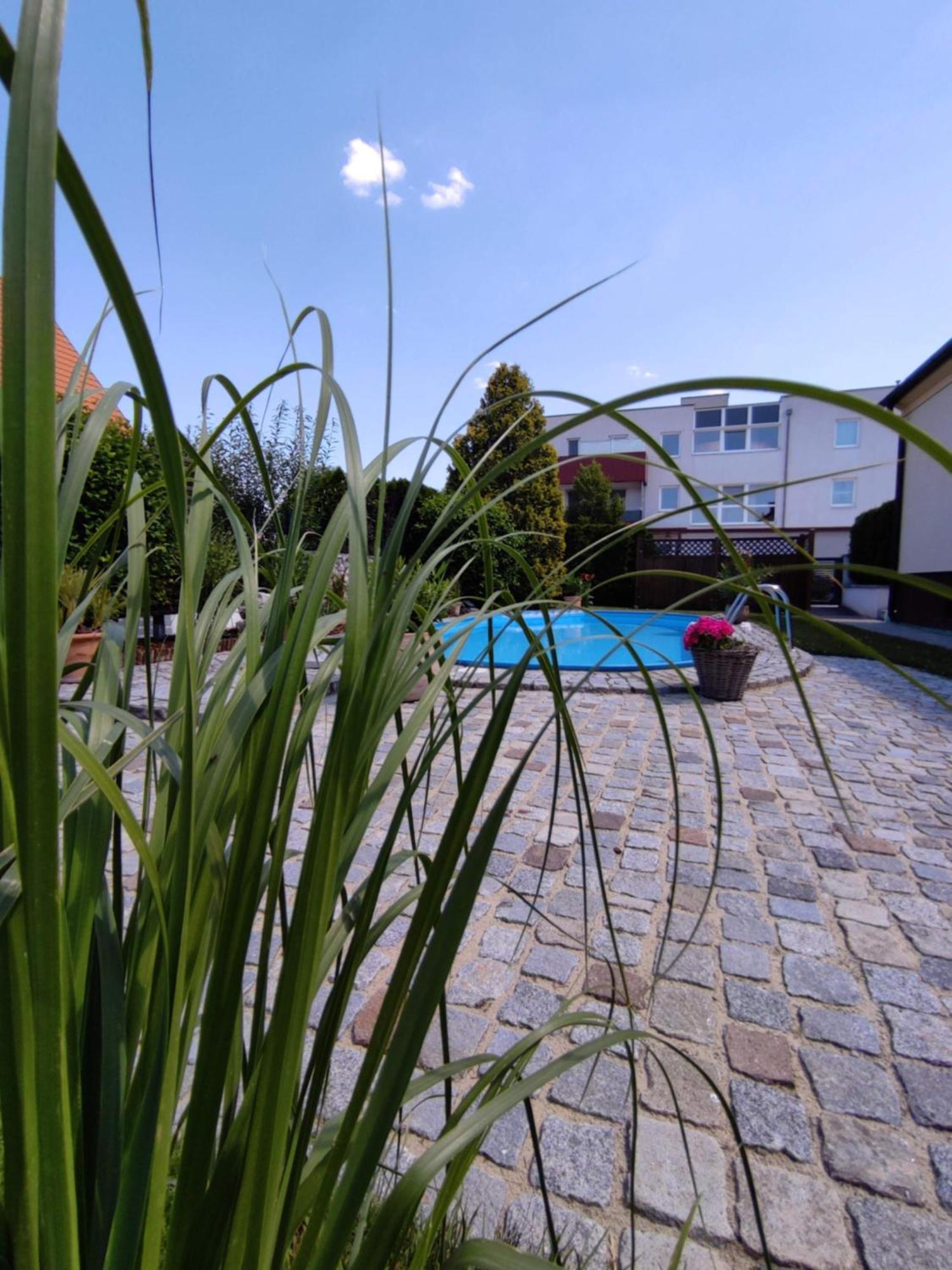 Sollenau Appartement Ferienhaus Sonnenhain מראה חיצוני תמונה