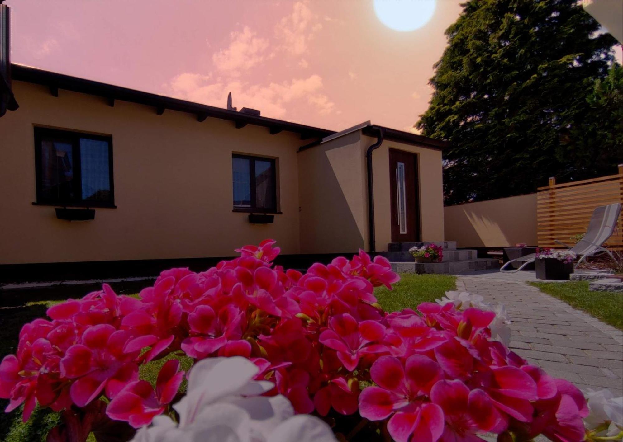 Sollenau Appartement Ferienhaus Sonnenhain מראה חיצוני תמונה