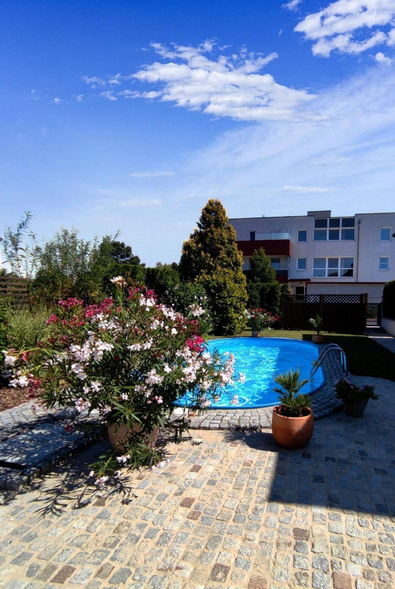 Sollenau Appartement Ferienhaus Sonnenhain מראה חיצוני תמונה